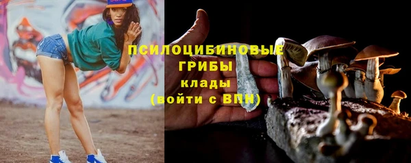 МДПВ Алзамай