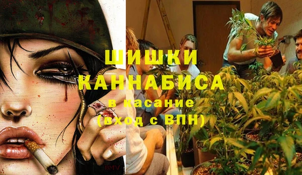 стаф Алексин