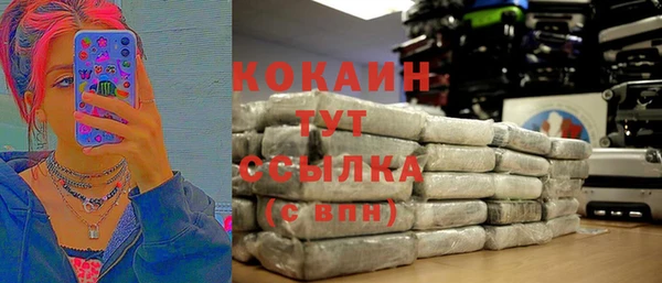 стаф Алексин